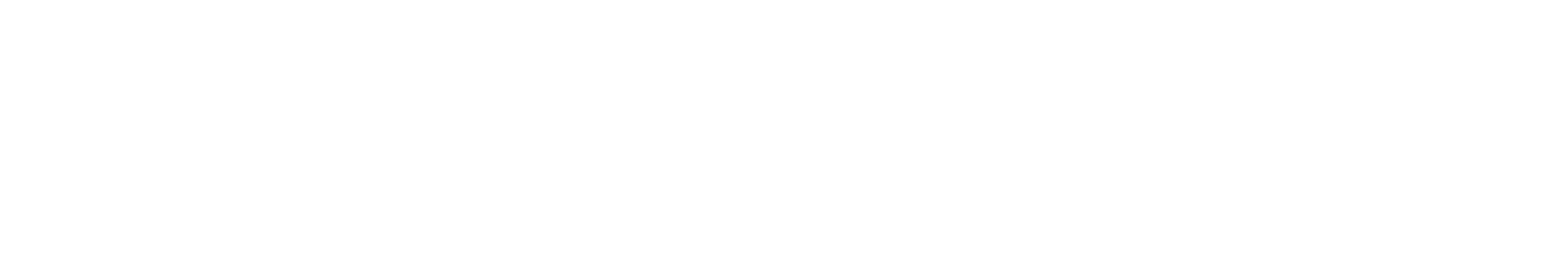biznosticsLogo White